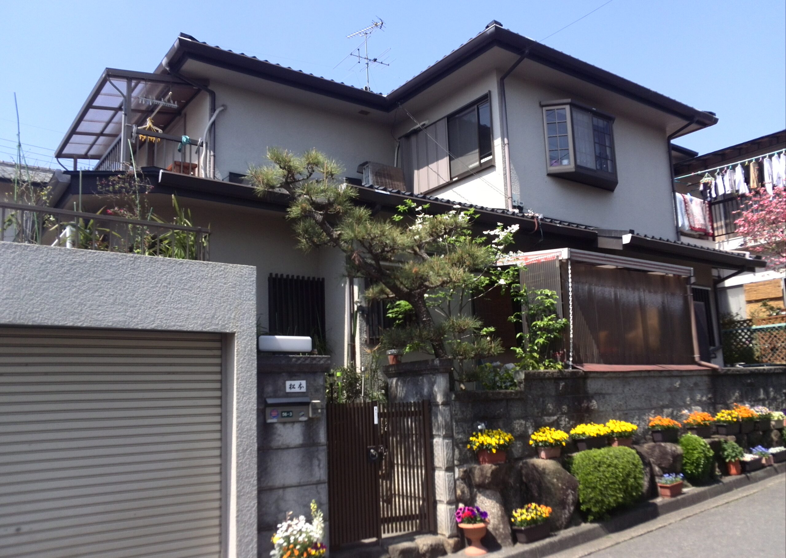 BEFORE画像